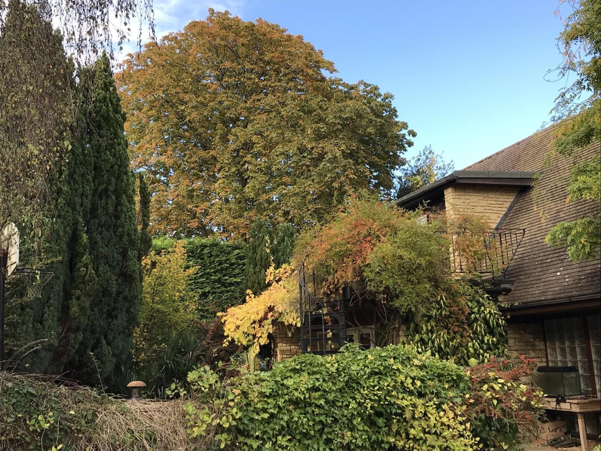 Sandford Meadow Guest House Kennington  Rom bilde